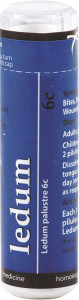 OWEN HOMOEOPATHICS Ledum 6c 120 pillules